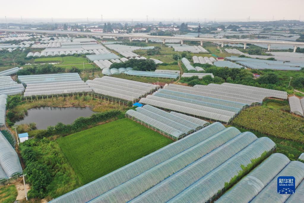 捕鱼游戏定制开发公司